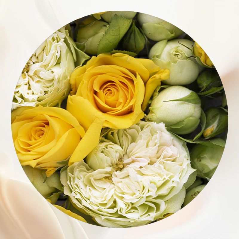 White Fence Flower Wall Circle Backdrop - Layoris