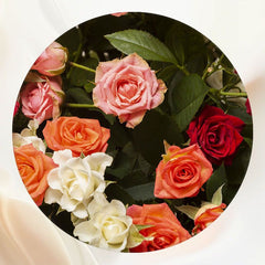 Multicolor Roses Romantic Circle Backdrop - Layoris
