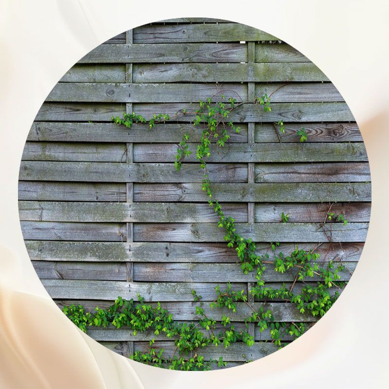 Old Wooden Board Vine Garden Circle Backdrop - Layoris