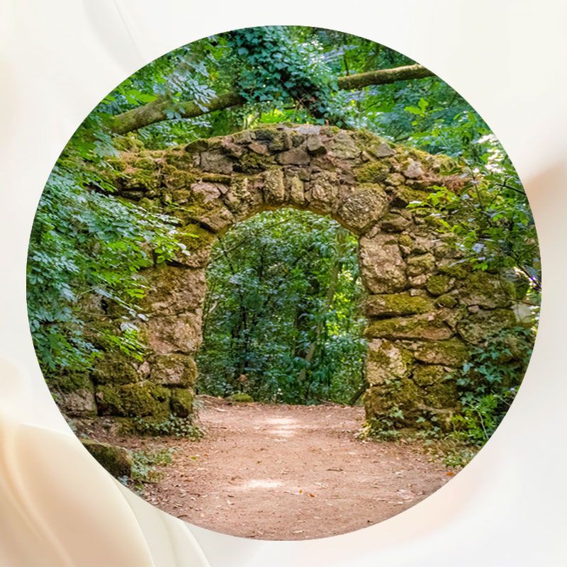 Stone Arch Forest Studio Circle Backdrop - Layoris