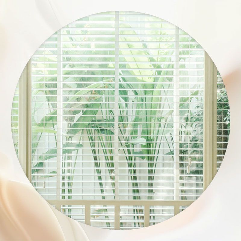 White Shutters With Green Plants Outside Round Backdrop - Layoris