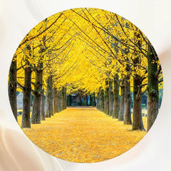 Yellow Leaf Trees And Deciduous Land Round Backdrop - Layoris
