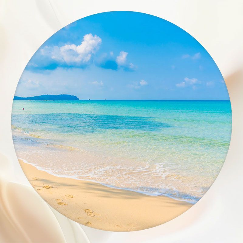 Blue Sea Beach Landscape Circle Backdrop - Layoris