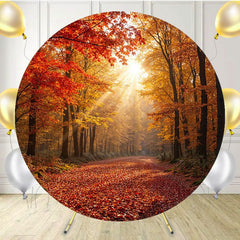 Sunlight Shines On The Red Maple Forest Round Backdrop - Layoris
