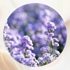 Purple Flowers Landscape Portrait Round Backdrop - Layoris