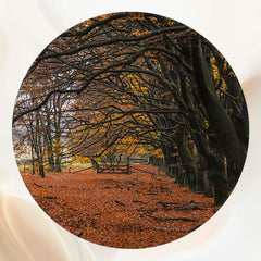 Autumn Deciduous Forest Portrait Round Backdrop - Layoris
