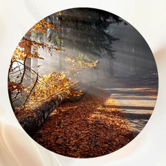 Sunlight In The Autumn Forest Round Backdrop - Layoris