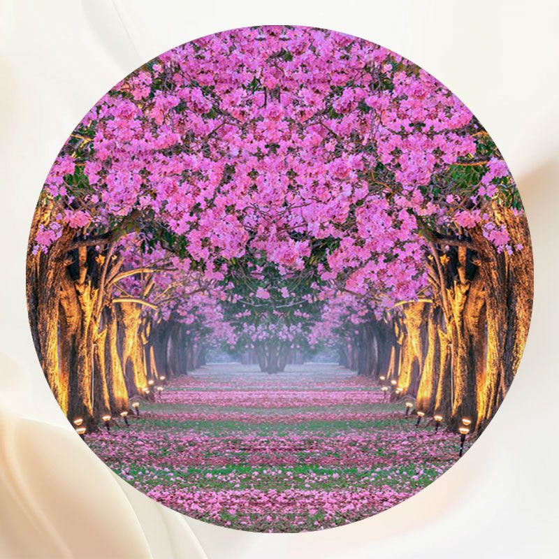 Flower Tree Illuminated By Street Lamp Round Backdrop - Layoris