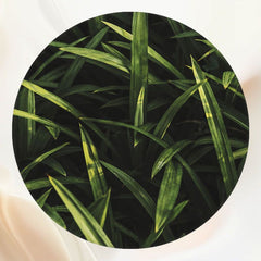Lush Grassland Portrait Circle Backdrop - Layoris
