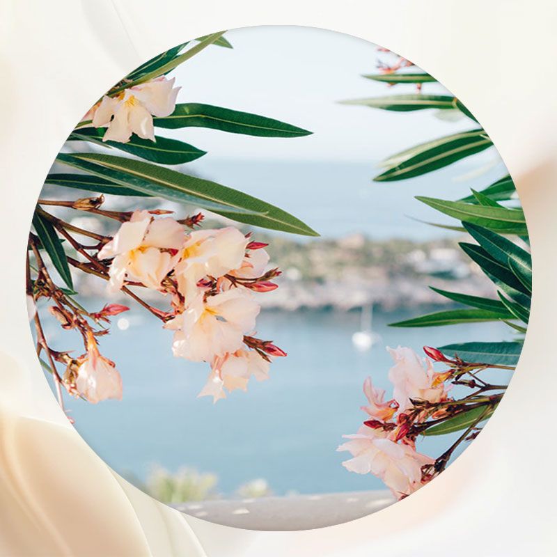 Flesh Pink Flowers And Leaves Round Backdrop - Layoris