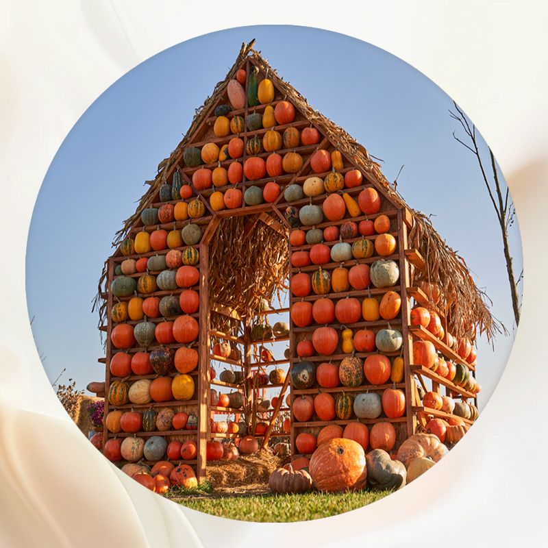 Pumpkin House Thanksgiving Round Backdrop - Layoris