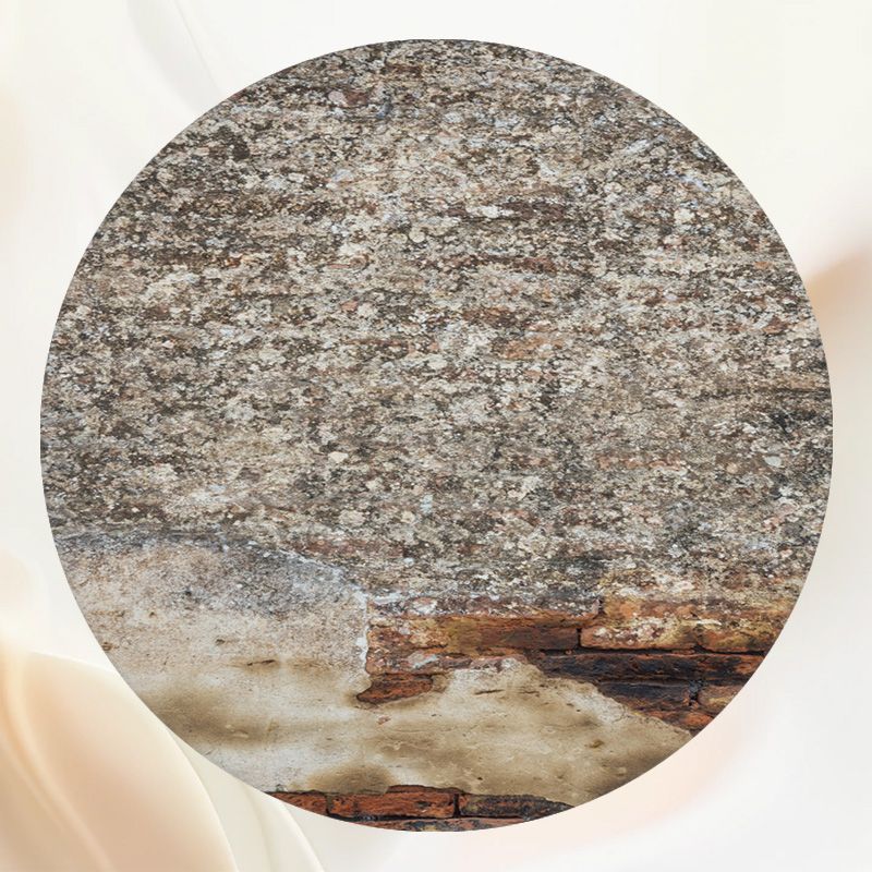 Dilapidated Brick Wall Studio Round Backdrop - Layoris