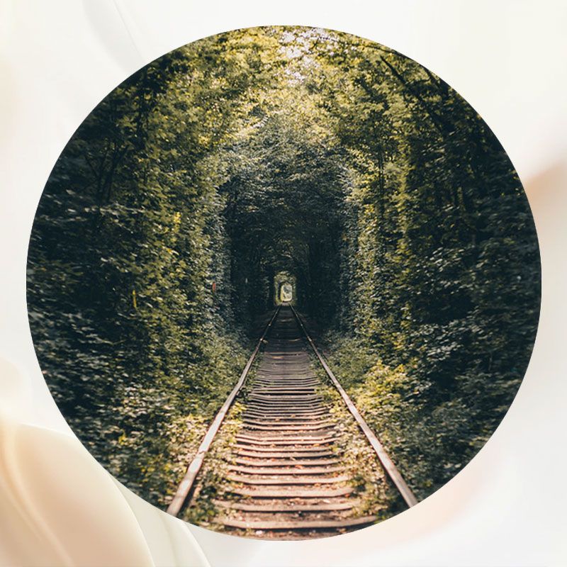 Castle Surrounded By Trees Flowers Circle Backdrop - Layoris