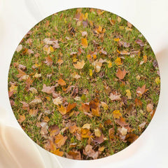 Autumn Maple Leaves Falling Grass Round Backdrop - Layoris
