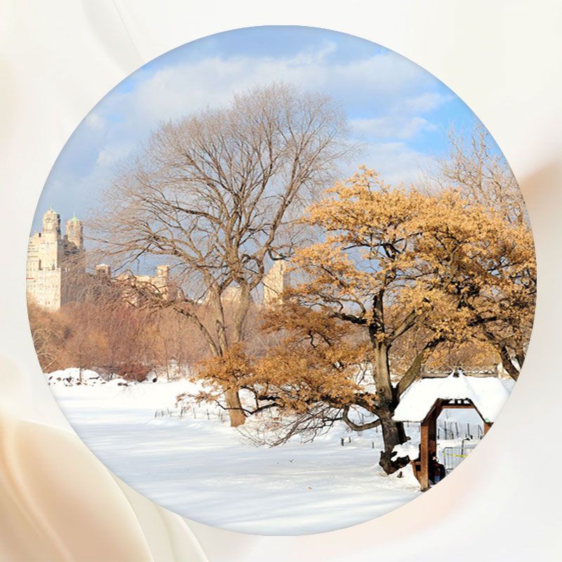 Snow Covered Village In Winter Round Backdrop - Layoris