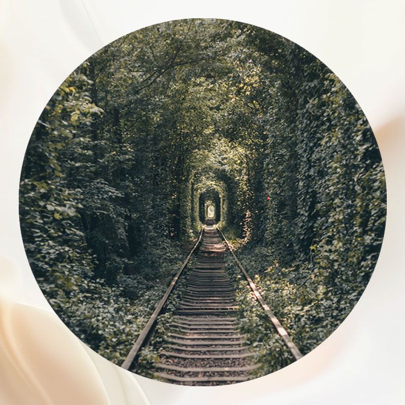 Railroad Tracks In The Woods Portrait Round Backdrop - Layoris