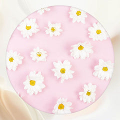 White Flower Pink Circle Backdrop - Layoris