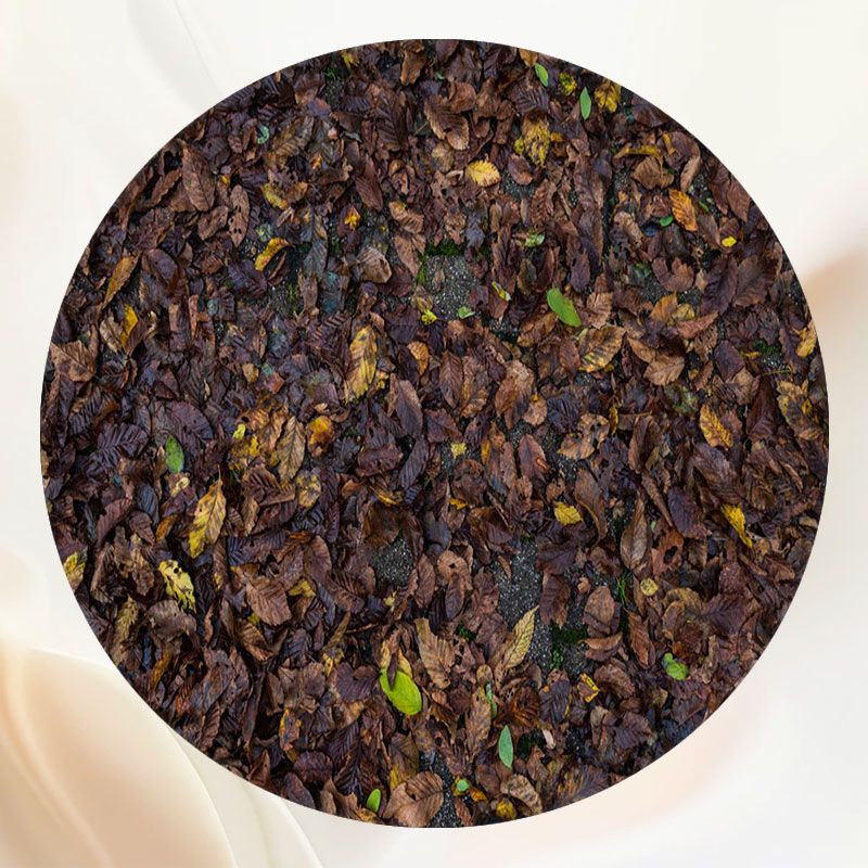 Autumn Leaves Fabric Circle Backdrop - Layoris