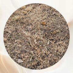 Autumn Dry Grass Fabric Circle Backdrop - Layoris