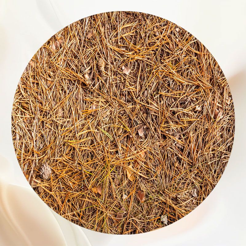 Yellow Pine Needle Circle Fabric Backdrop - Layoris