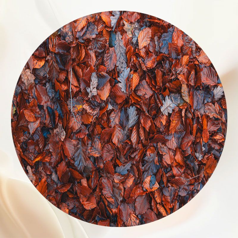 Withered Red Leaves Fabric Circle Backdrop - Layoris