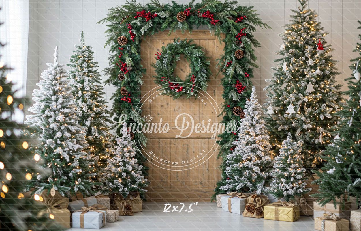 Wooden Door Wreath Snowy Trees Gifts Christmas Backdrop - Layoris