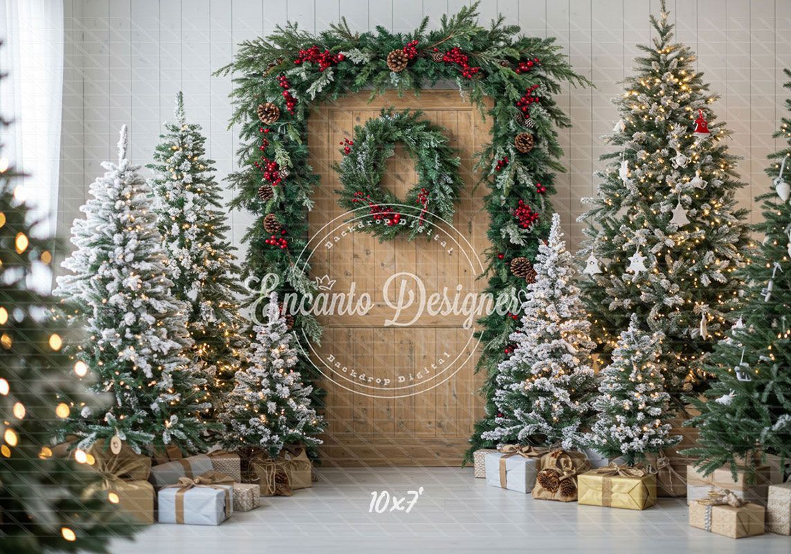 Wooden Door Wreath Snowy Trees Gifts Christmas Backdrop - Layoris